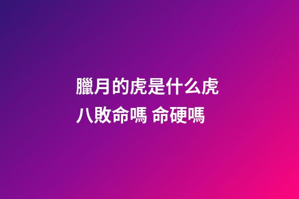 臘月的虎是什么虎 八敗命嗎 命硬嗎